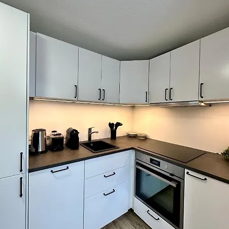 Zwischen Hafen Und Stadt * Bregenz